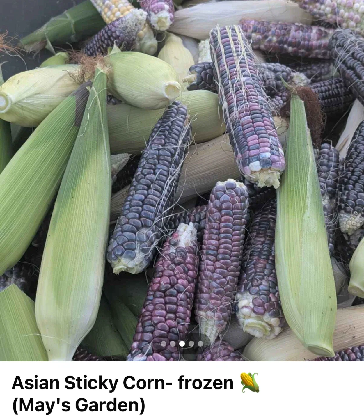 FREE Asian Sticky Corn- frozen 🌽