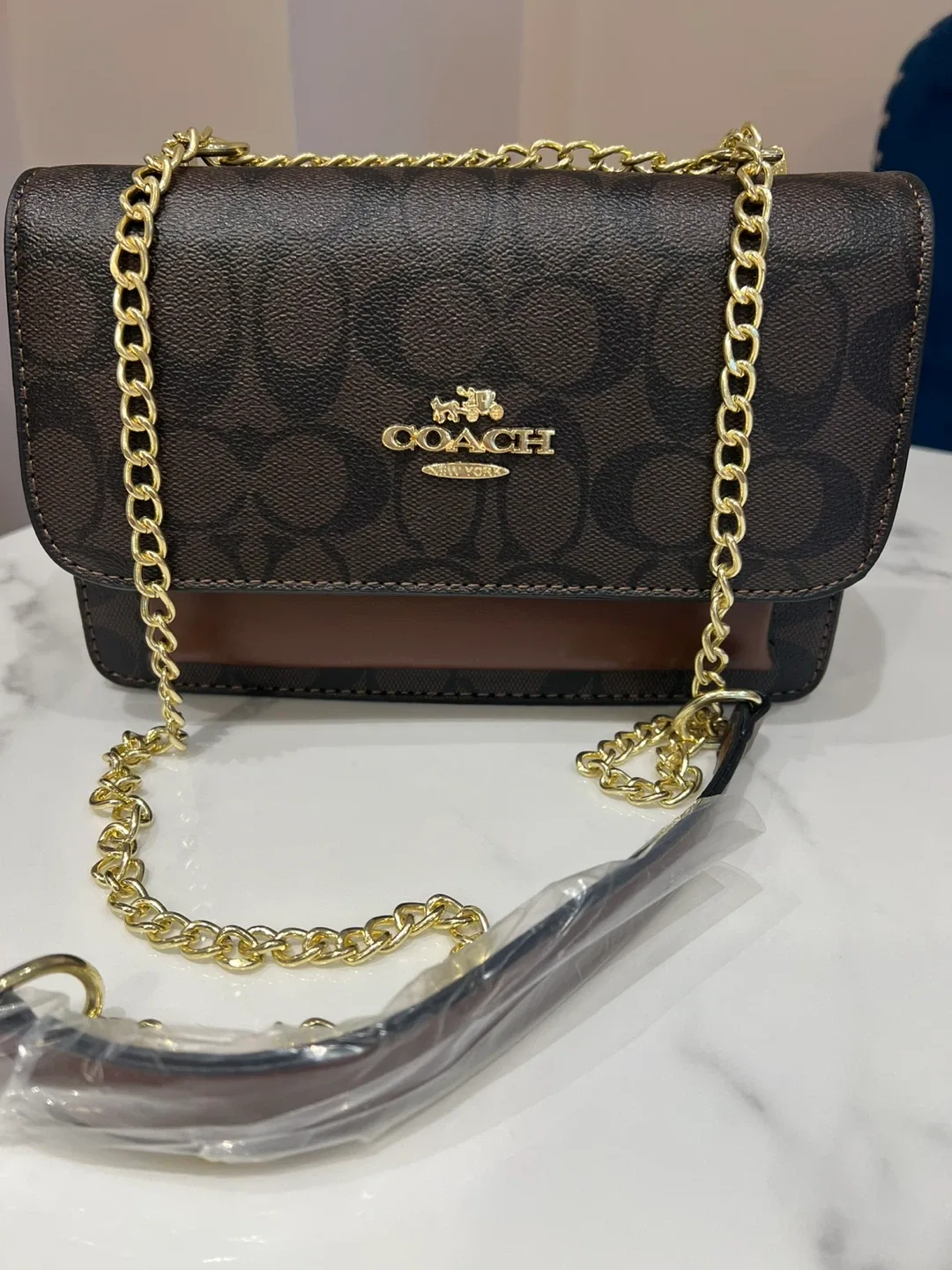 Coach klare purse image indicator(2)