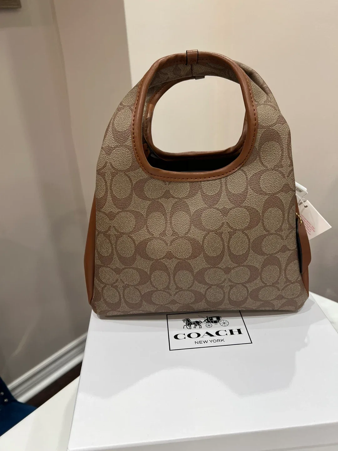 Coach Lana  shoulder bag image indicator(2)