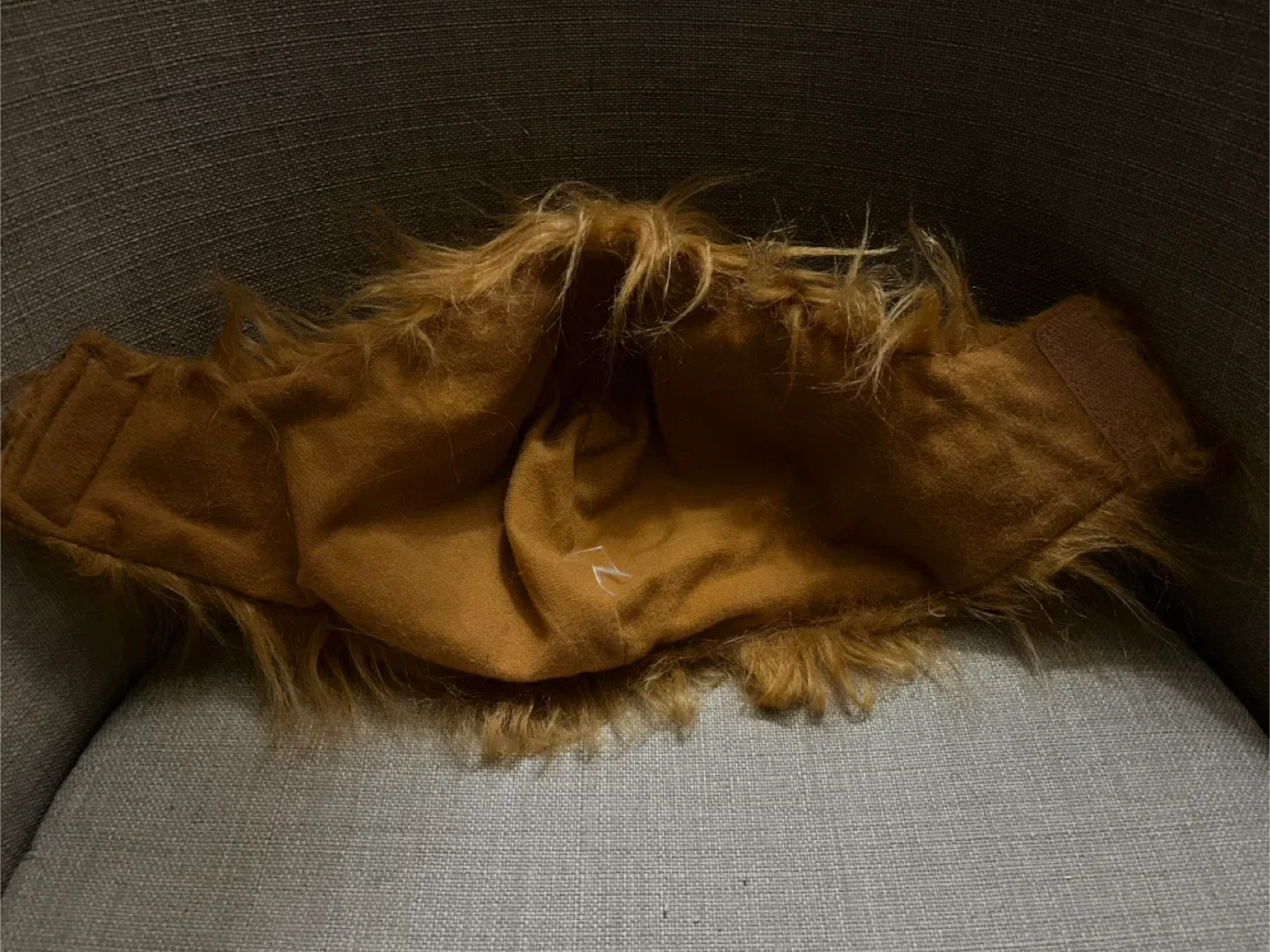 Lion Mane Costume for pets image indicator(3)