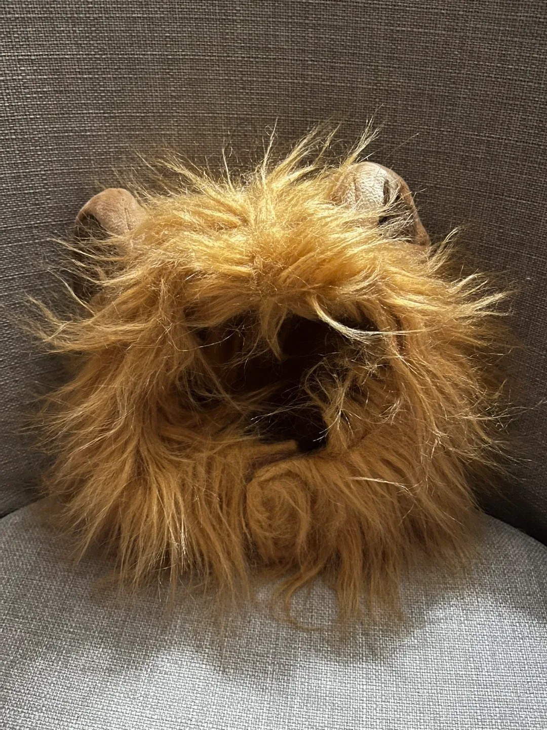 Lion Mane Costume for pets