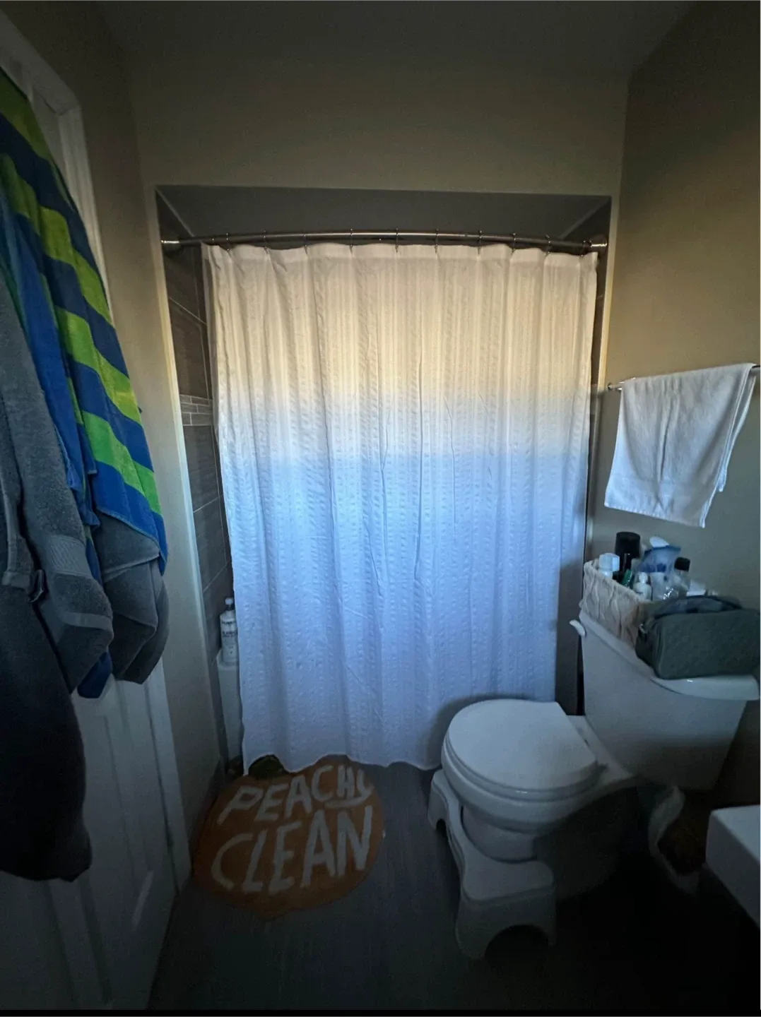 Spacious Master bedroom with ensuite image indicator(7)