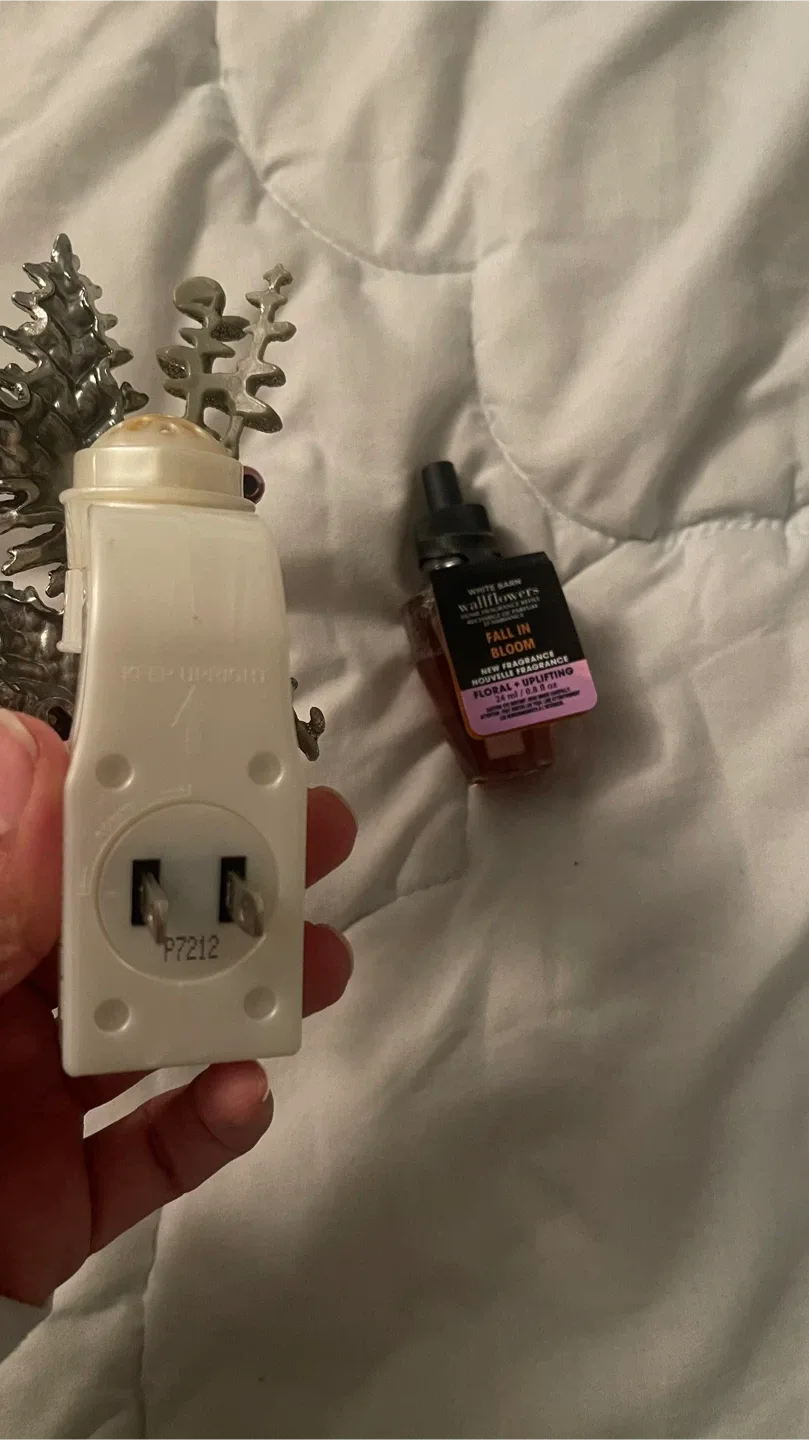 Bath & Body Works Wallflowers Plug & Refill  #Cleanout image indicator(3)