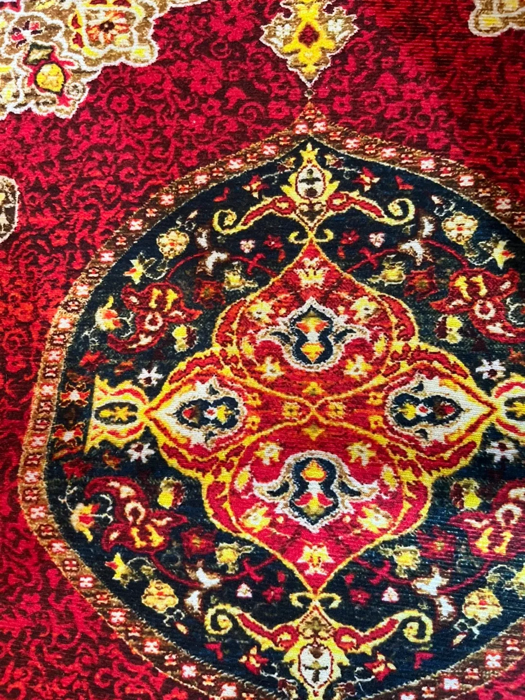 Red Patterned Runner Rug image indicator(2)