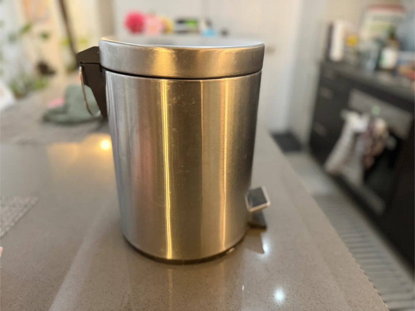 Stainless Steel Step Trash Can