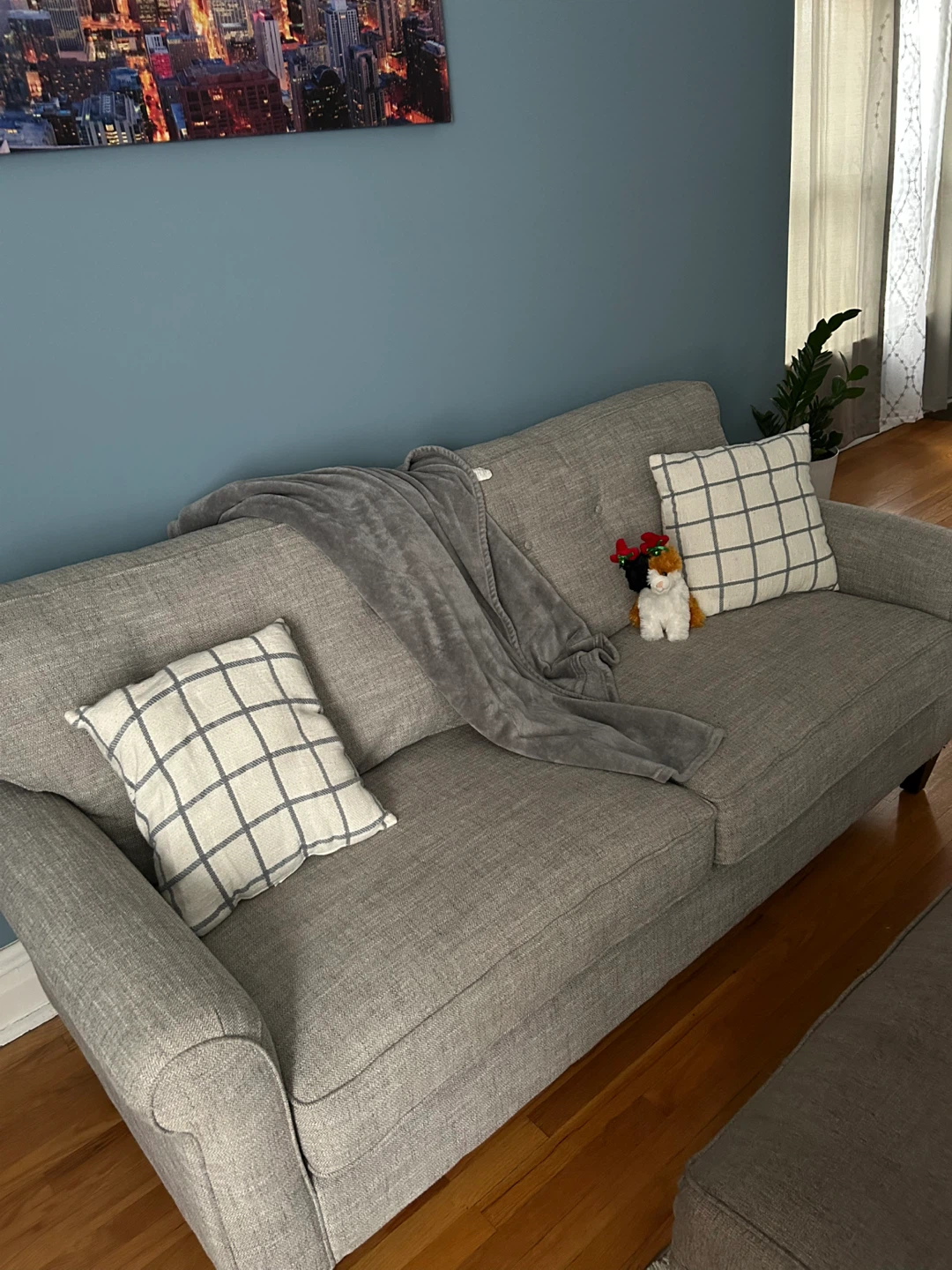 Gray Sofa - photo 2