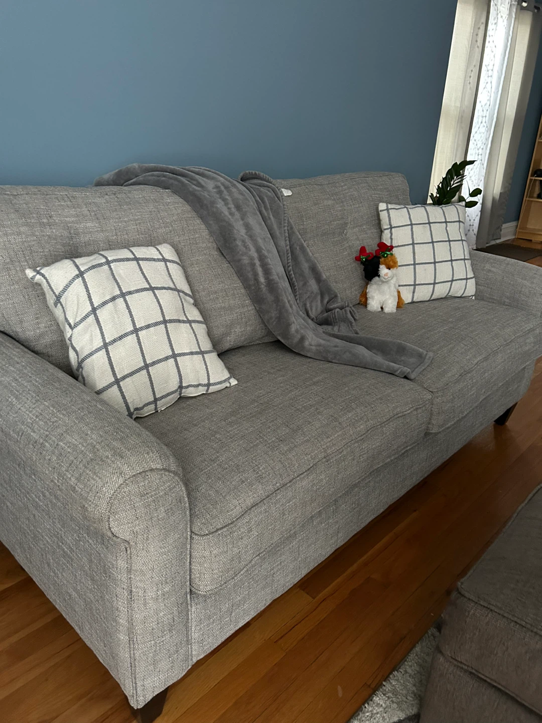 Gray Sofa