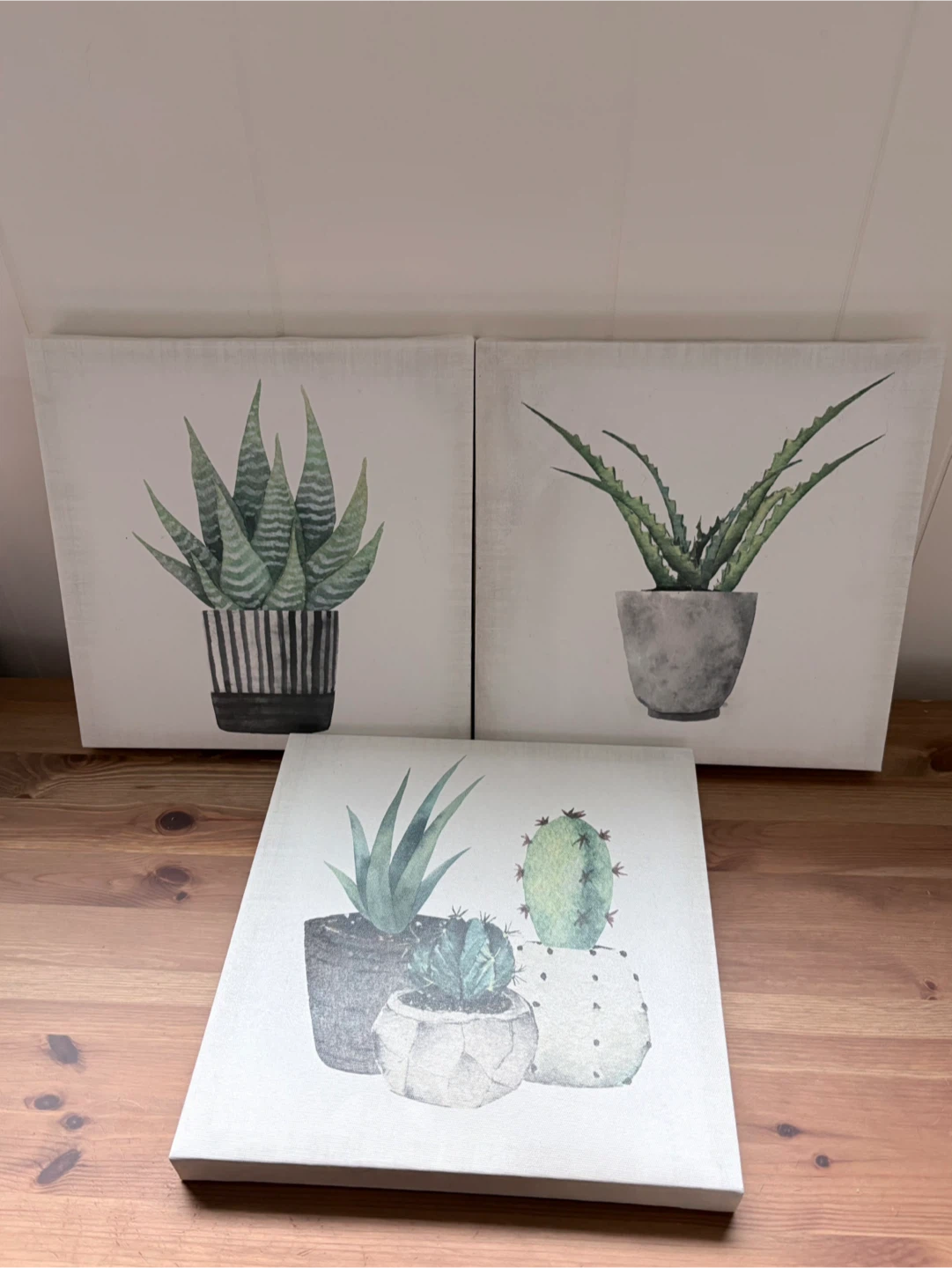 Set of Three Canvas Prints Featuring Succulent Plants