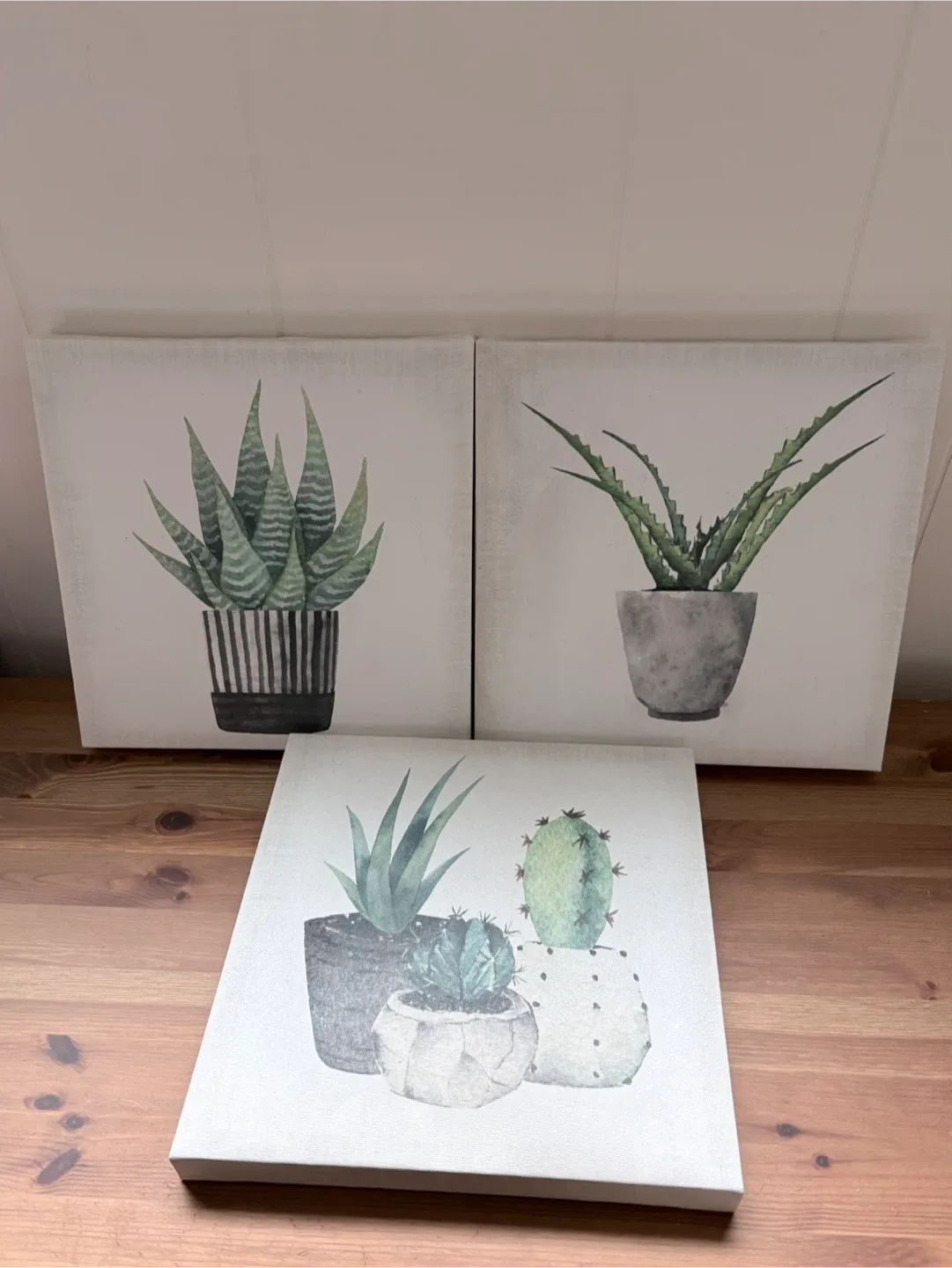Set of Three Canvas Prints Featuring Succulent Plants