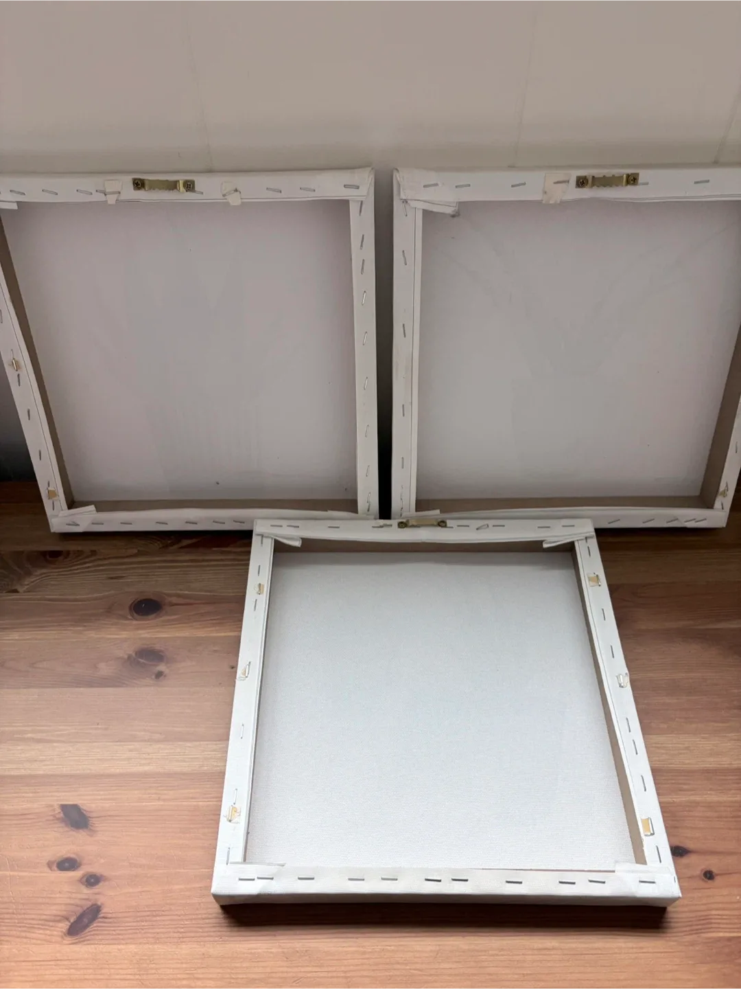 Set of Three Canvas Prints Featuring Succulent Plants image indicator(2)