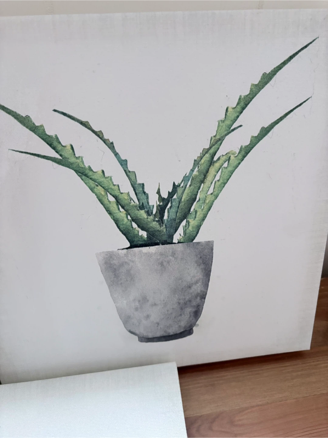 Set of Three Canvas Prints Featuring Succulent Plants - photo 5