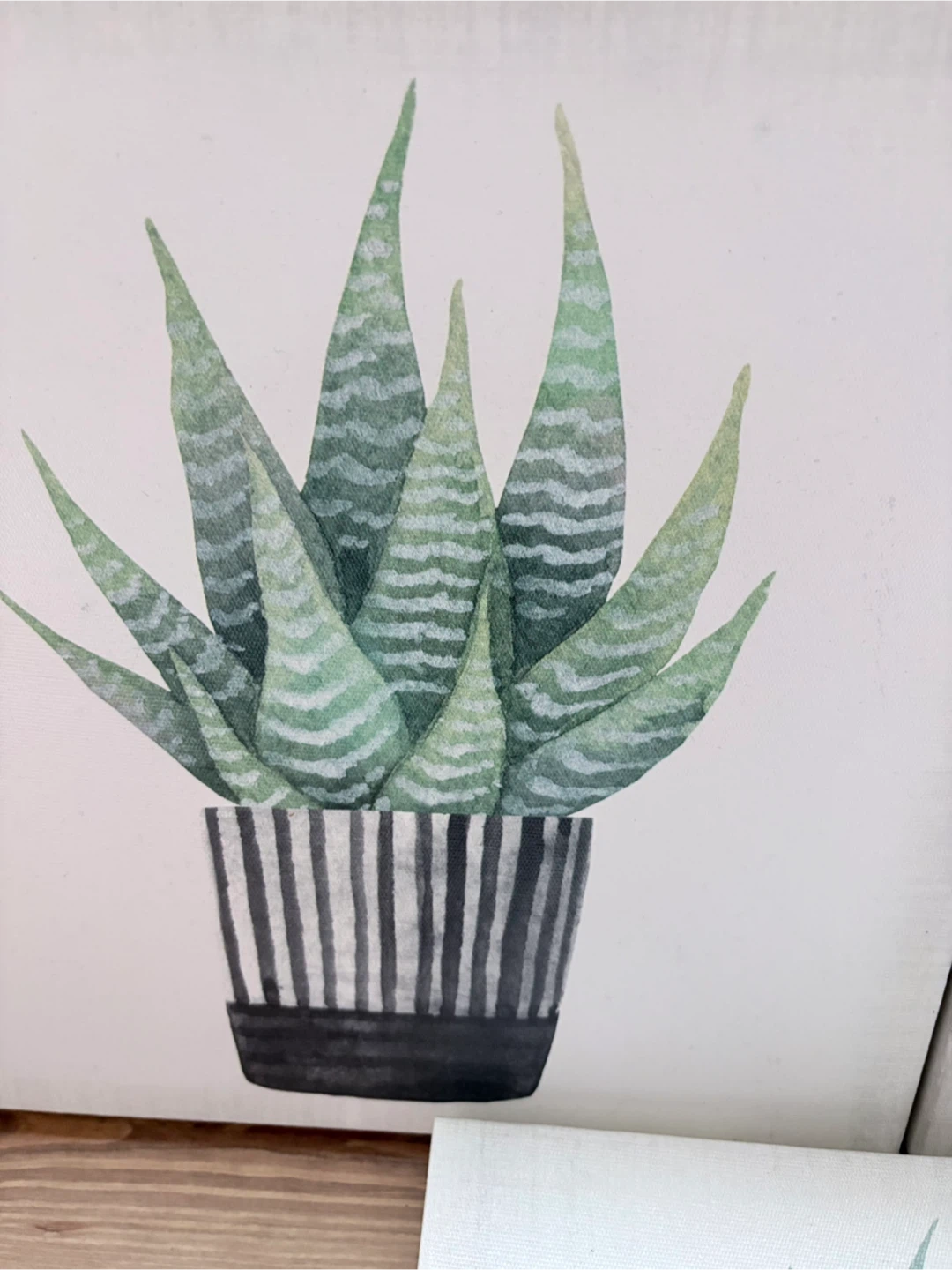 Set of Three Canvas Prints Featuring Succulent Plants - photo 4