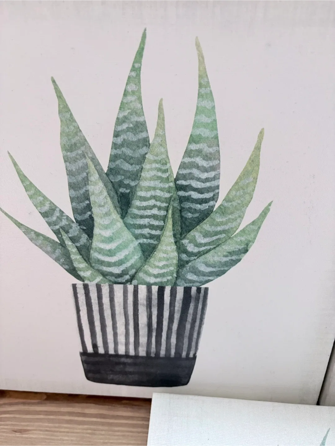 Set of Three Canvas Prints Featuring Succulent Plants image indicator(4)