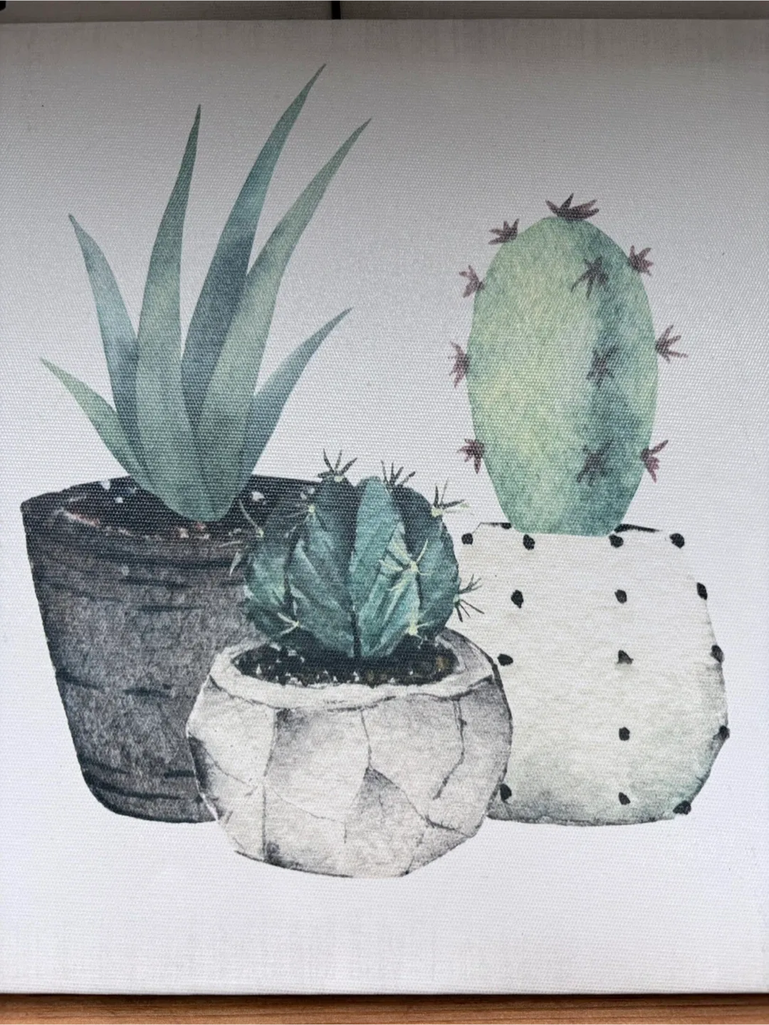 Set of Three Canvas Prints Featuring Succulent Plants image indicator(3)