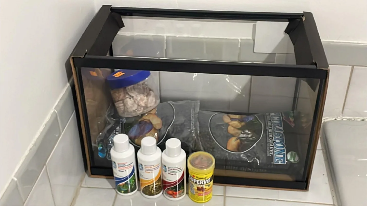 Guppy Aquarium set up service