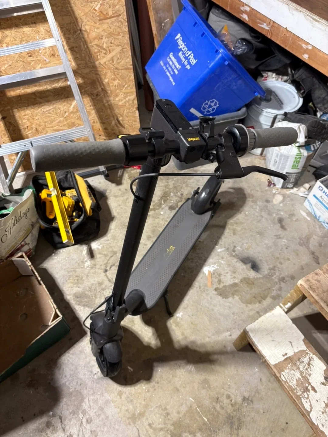 Ninebot Electric Scooter