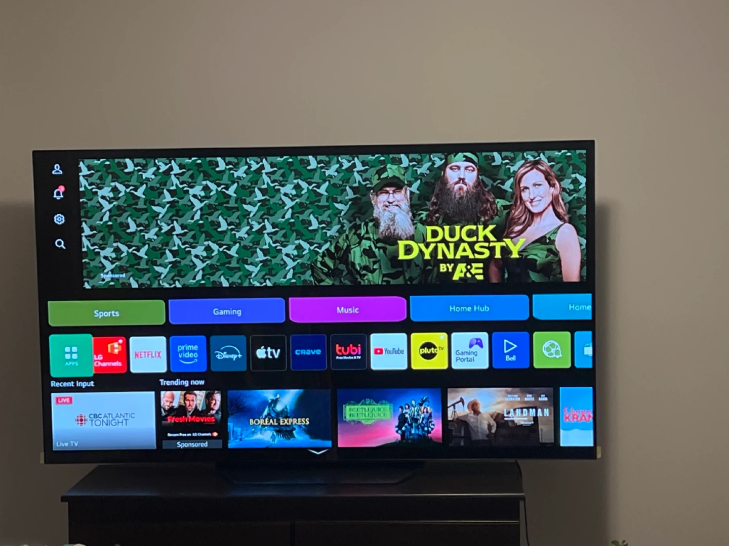 TV