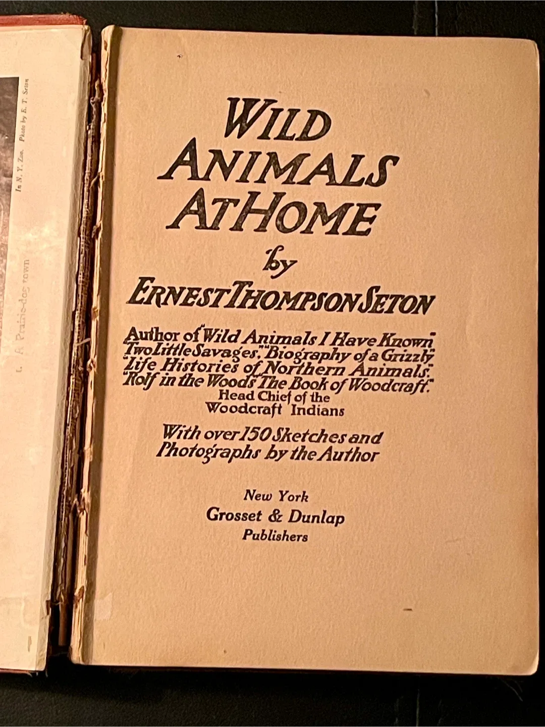 #cleanout Wild Animals At Home by Ernest Thompson Seton image indicator(2)