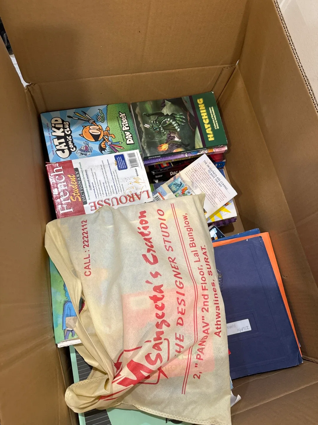 Mixed Books: Cat Kid, French Dictionary, Hatching