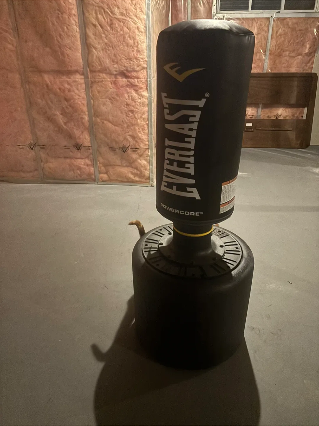 Everlast Powercore Free Standing Punching Bag