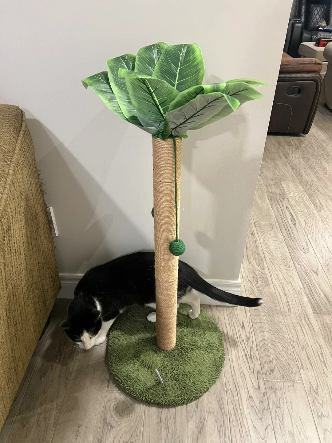 Cat Scratching Post with Palm Leaves