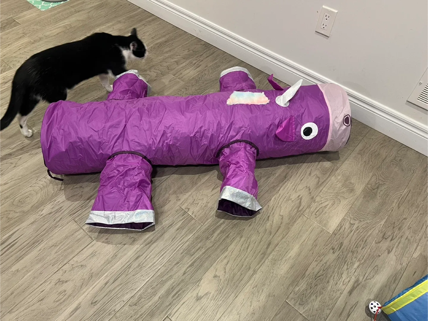 Cat Scratching Post with Palm Leaves image indicator(3)