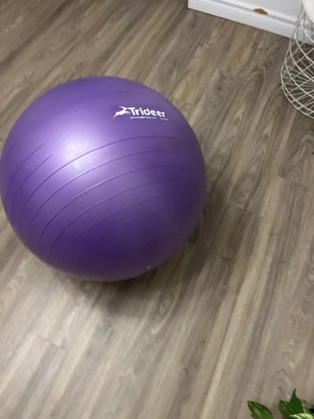Trideer Purple Exercise Ball