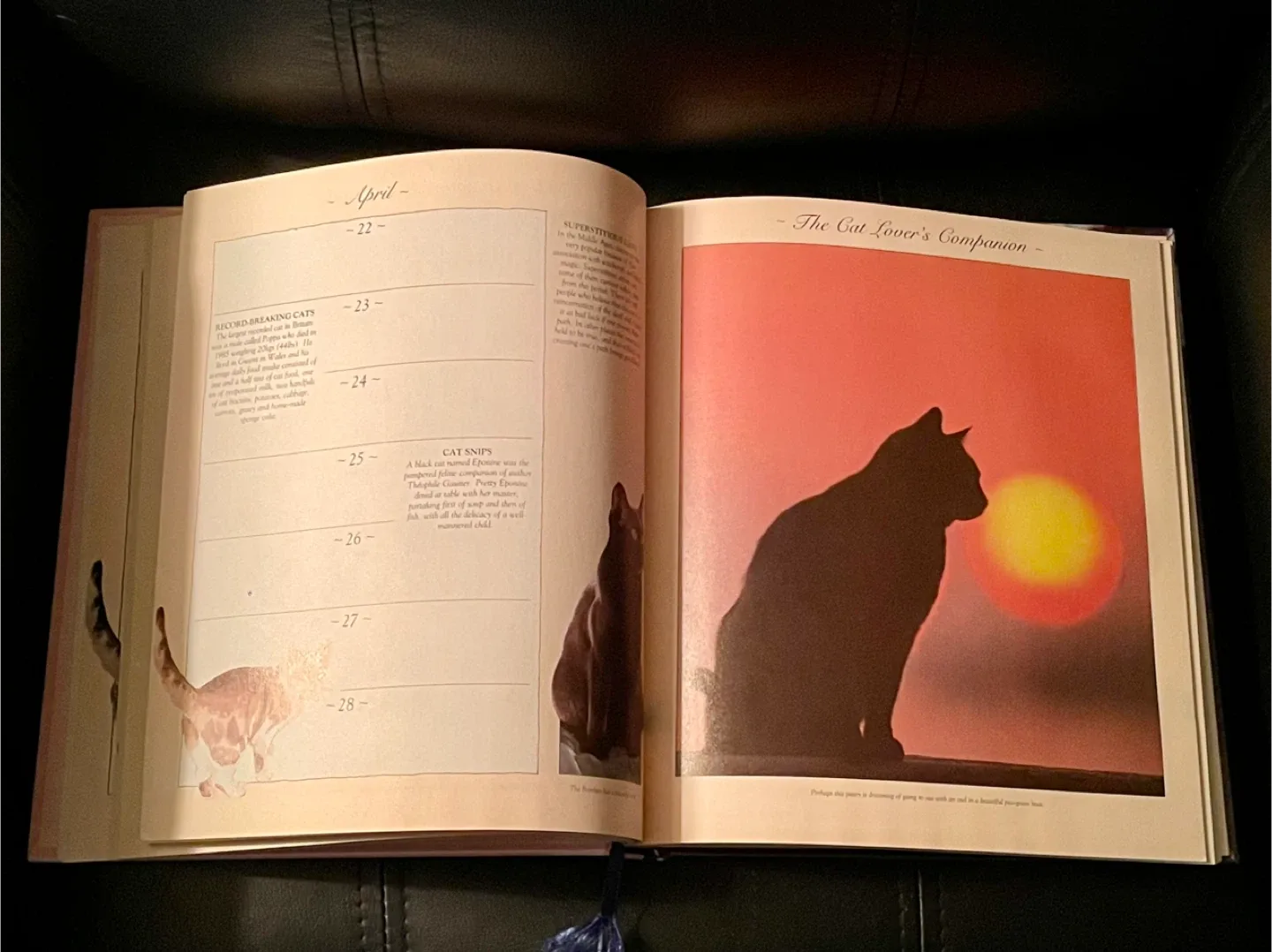#cleanout NEW The Cat Lover's Companion Day Book image indicator(3)