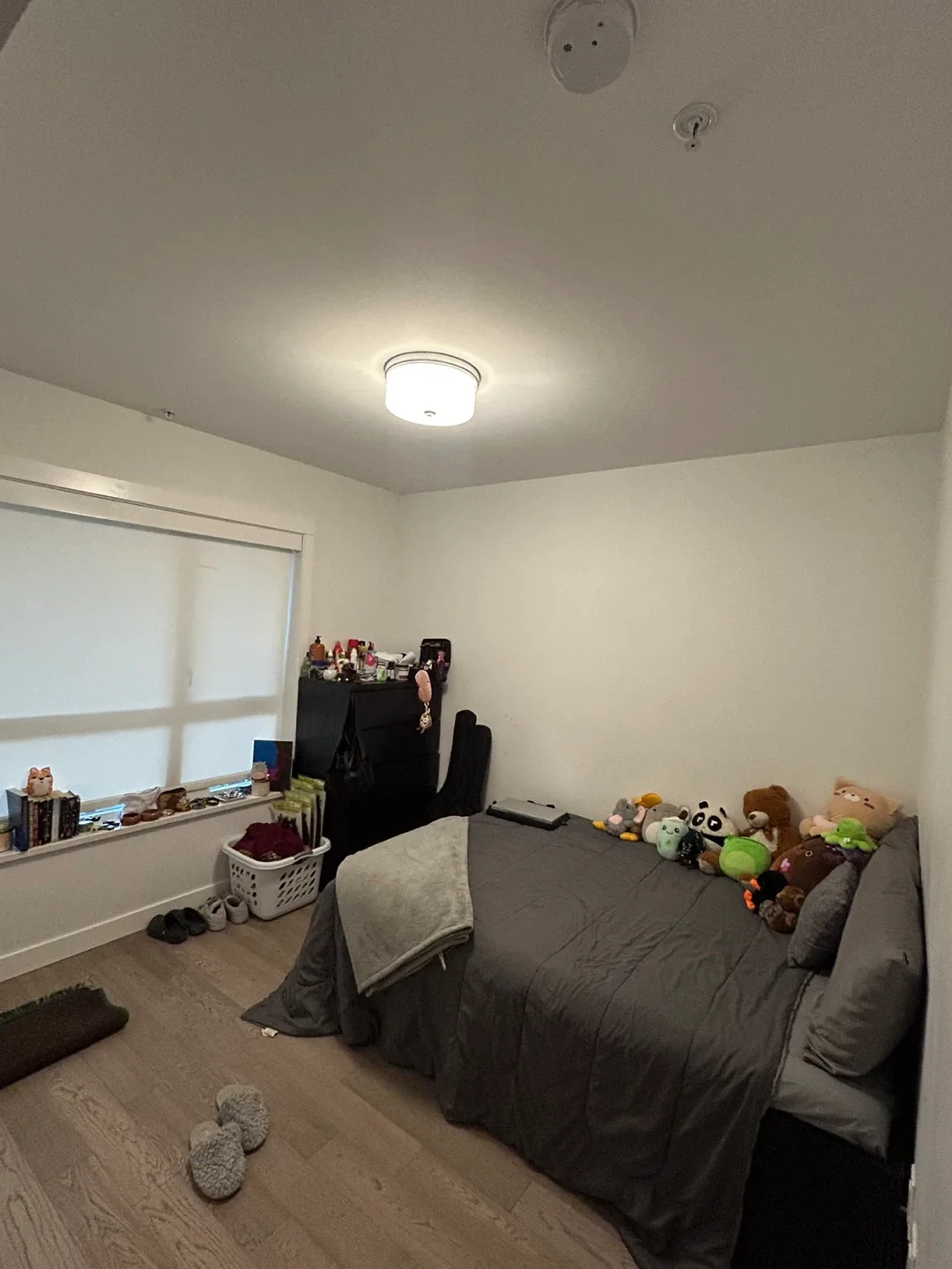 Private Room for Rent! image indicator(7)