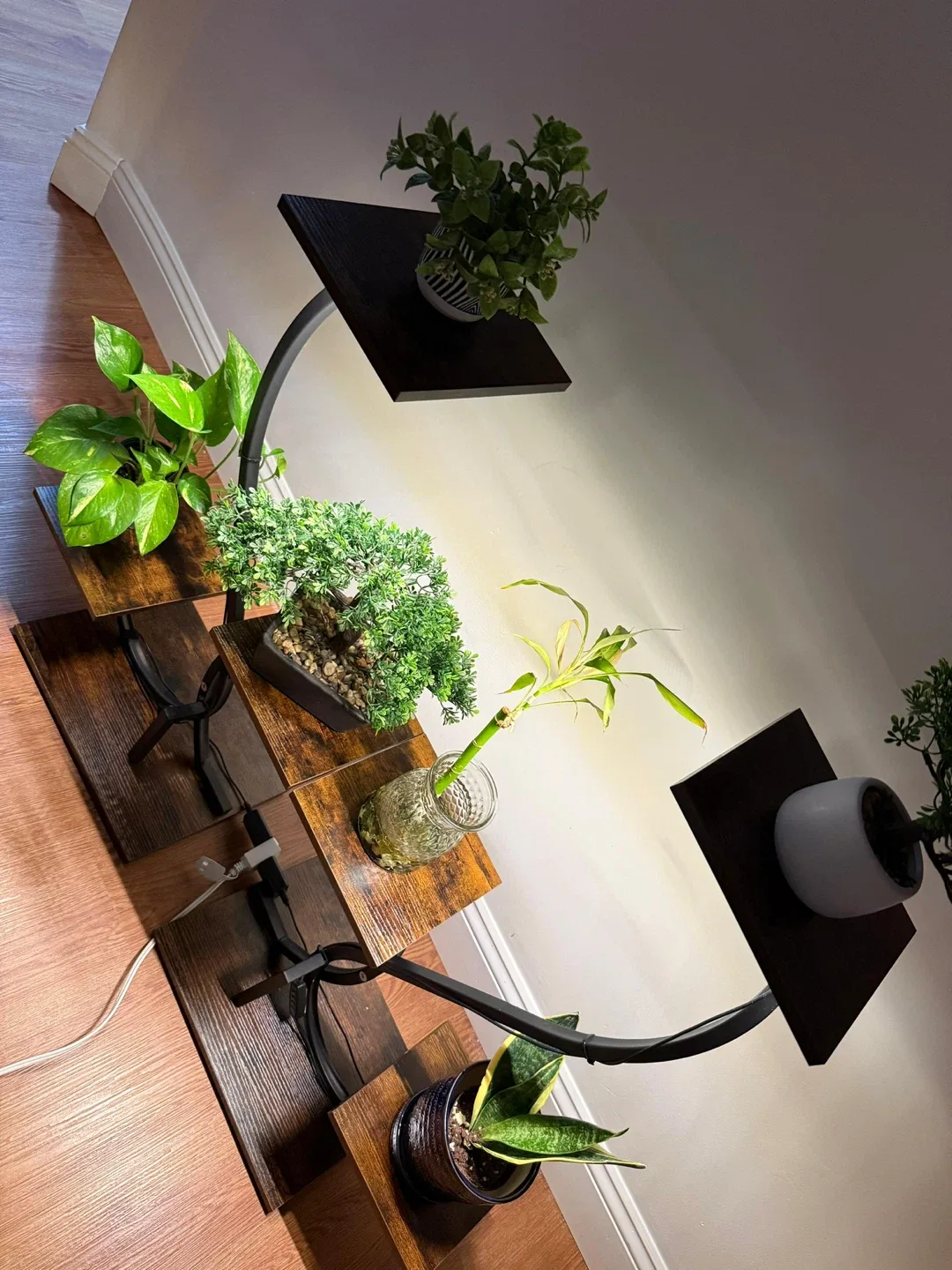 Set of 2 Plant Stands image indicator(9)