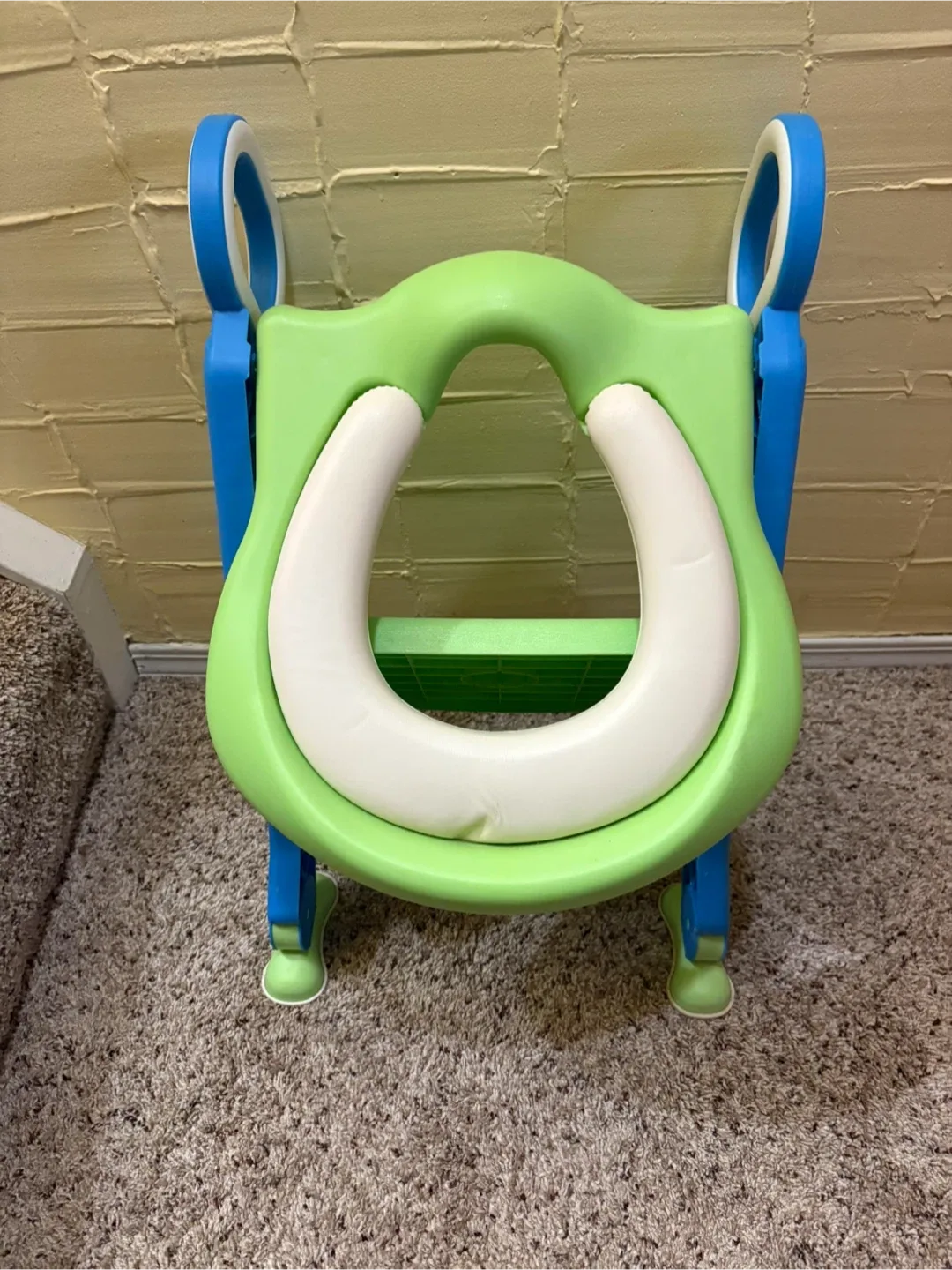Potty Training Seat with Ladder image indicator(2)