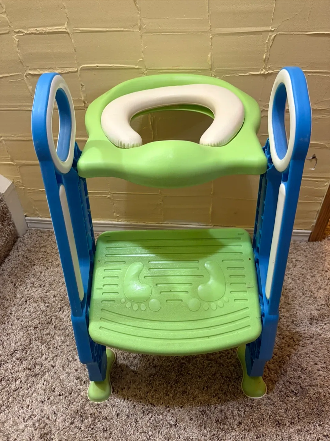 Potty Training Seat with Ladder