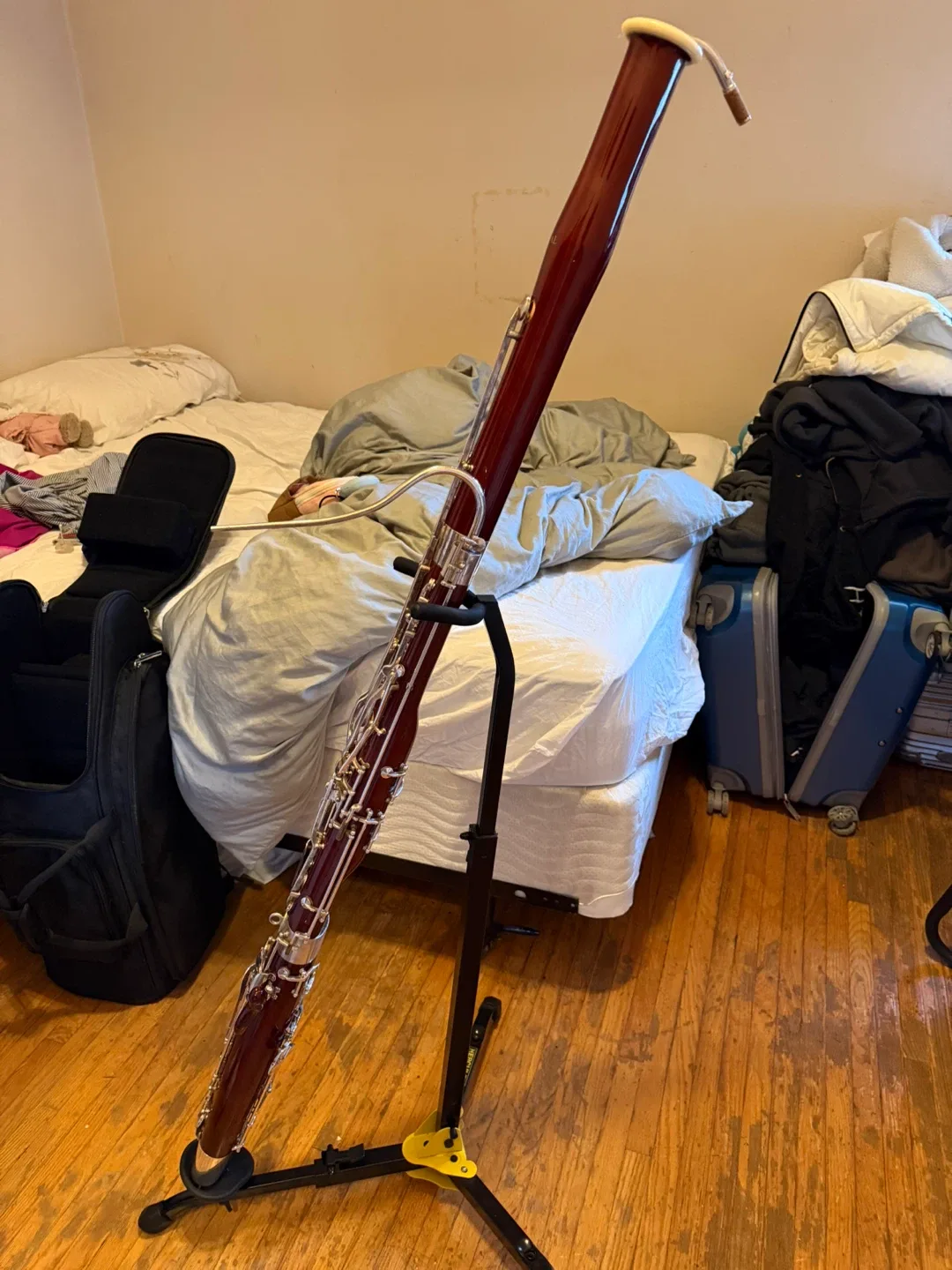 Laval Student Bassoon with Case and Stand