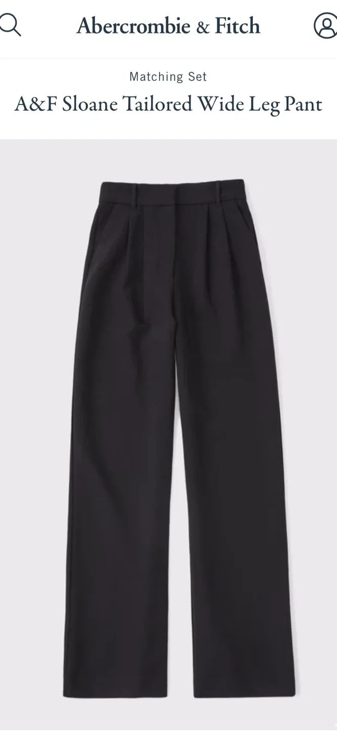 A&F Sloane Tailored Wide Leg Pant image indicator(5)