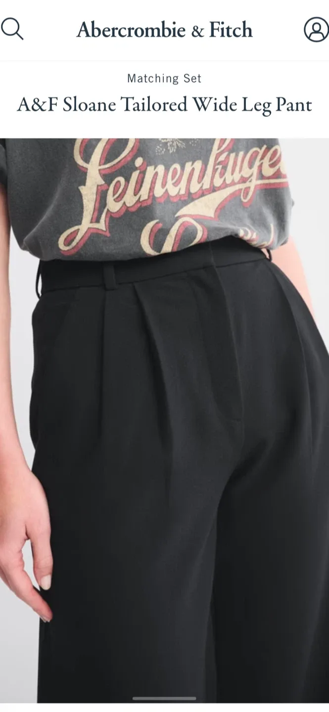 A&F Sloane Tailored Wide Leg Pant image indicator(4)