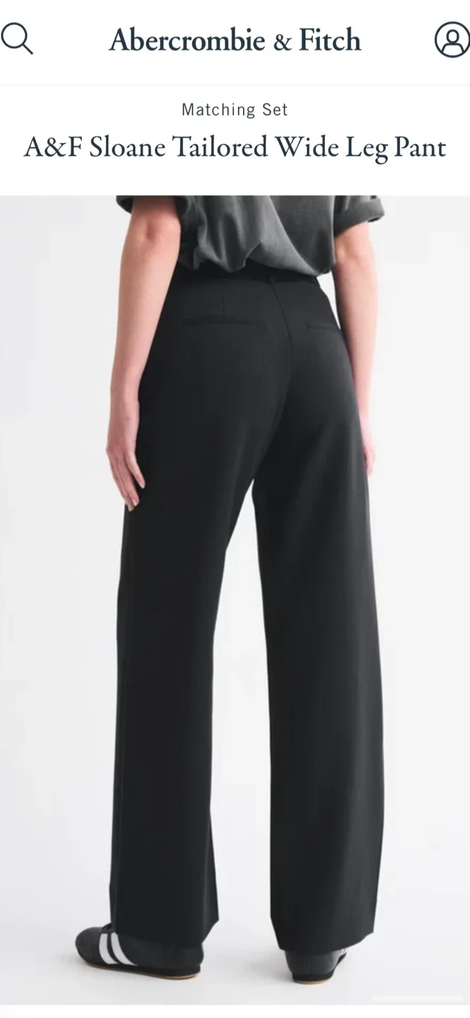A&F Sloane Tailored Wide Leg Pant image indicator(3)