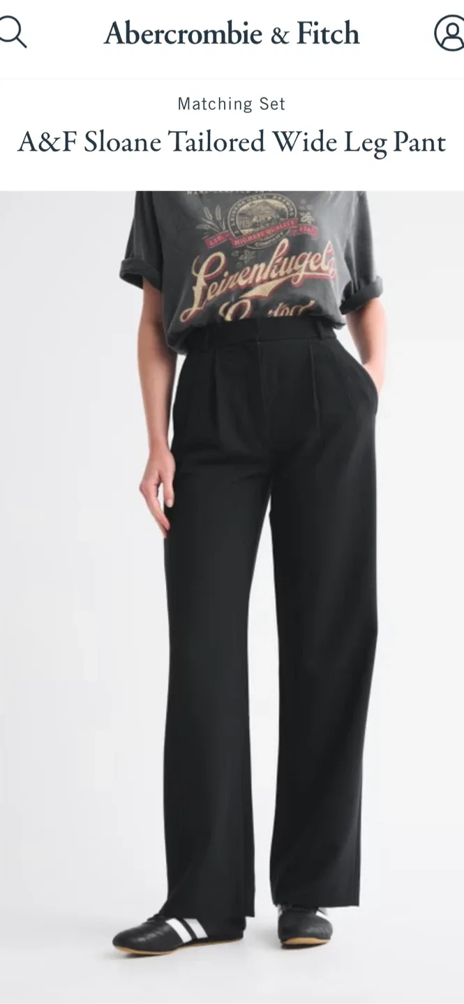 A&F Sloane Tailored Wide Leg Pant image indicator(2)