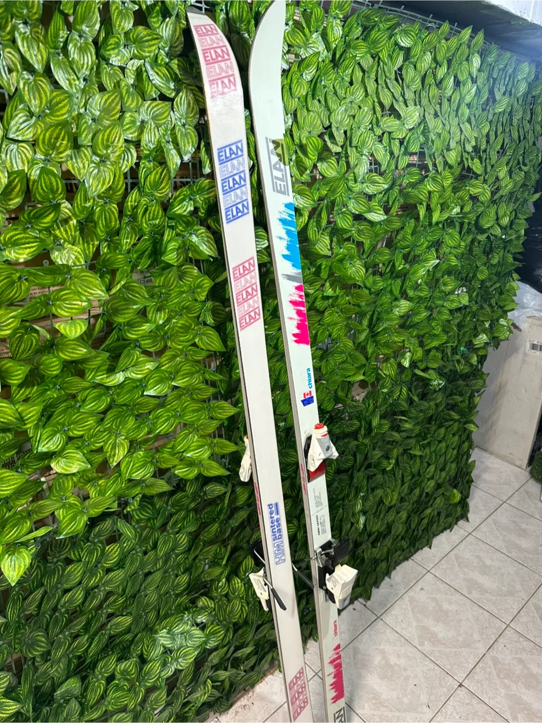 Elan Omni Series Mountain Skis