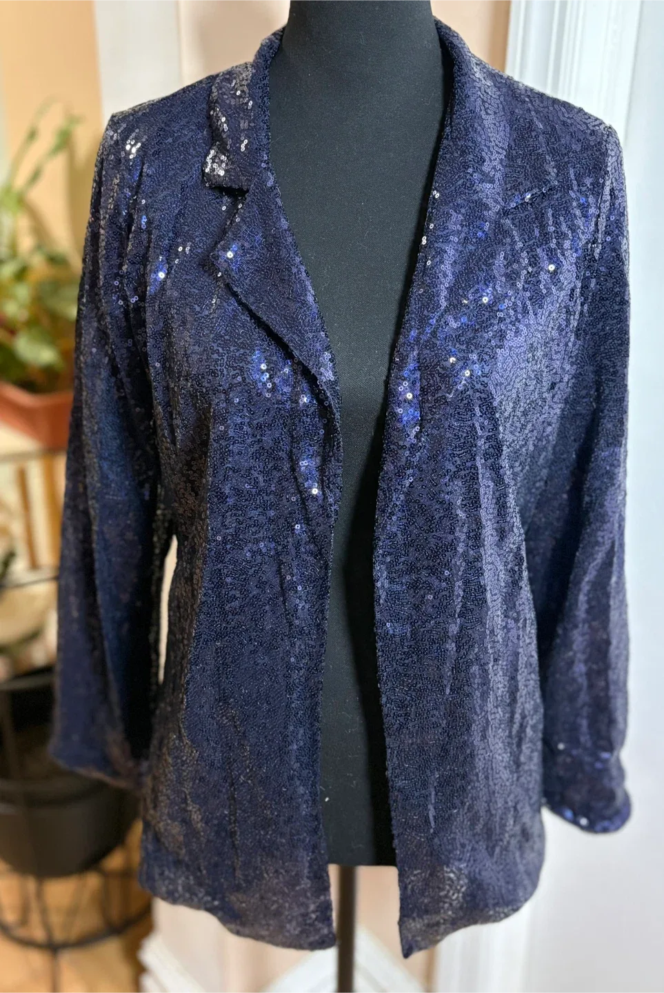 Sequin Blazer - Size M #cleanout image indicator(2)