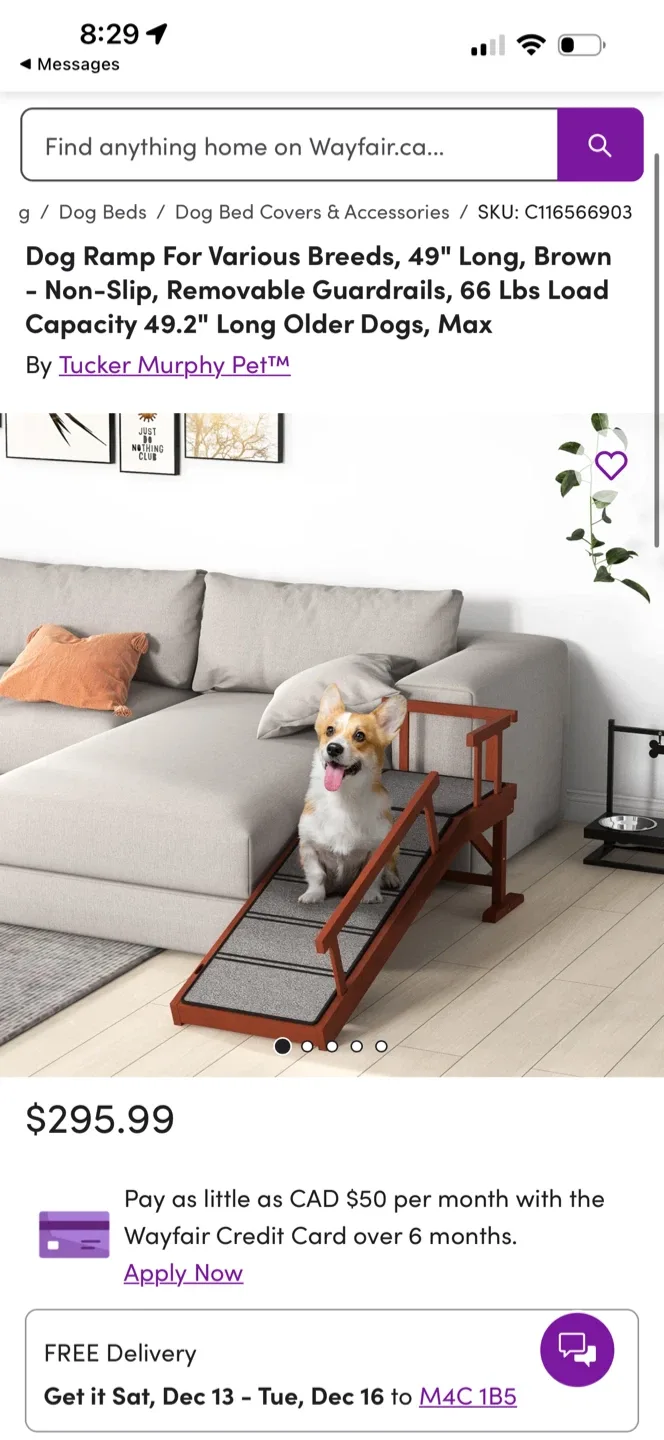 Brand New in Box Pet Ramp Retails $295.99 on Wayfair.ca