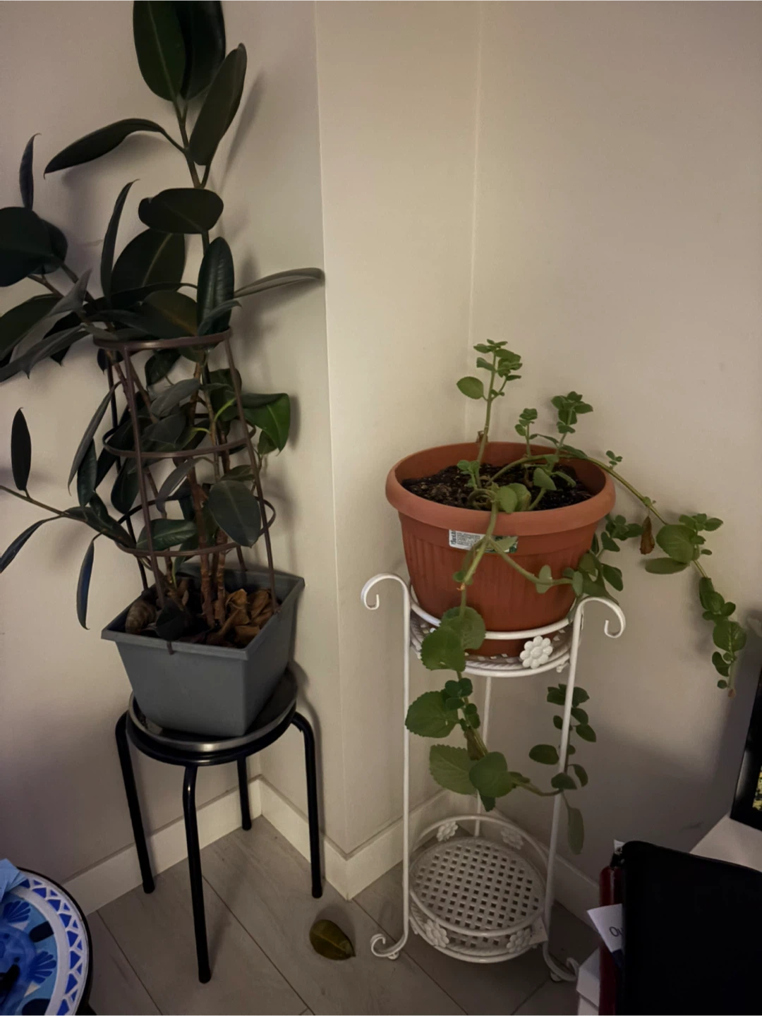 Plant stand - photo 2