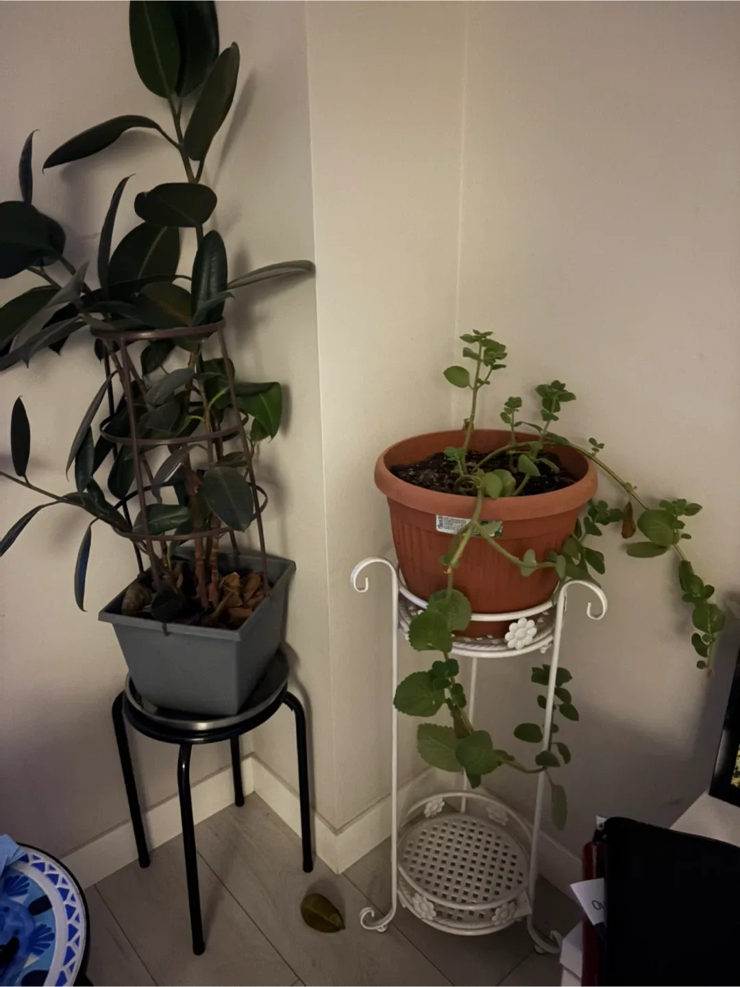 Plant stand image indicator(2)