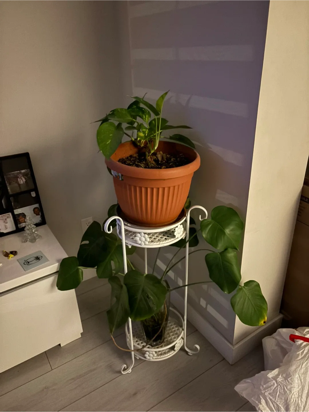 Plant stand