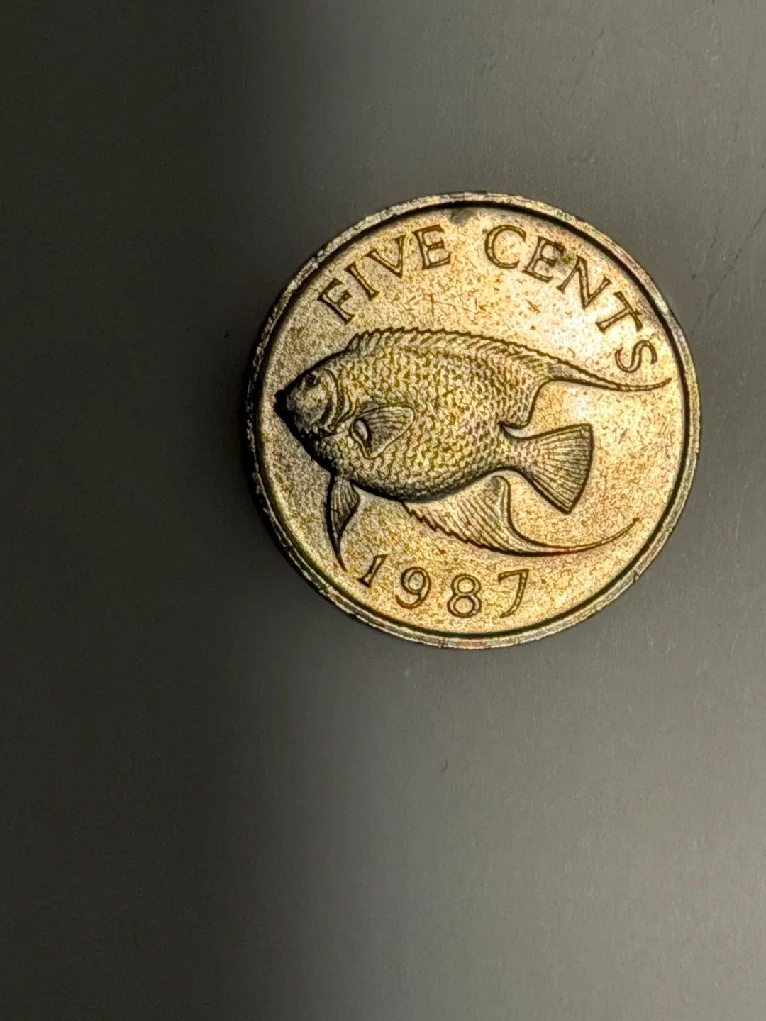 1987 Bermuda 5 Cents Coin image indicator(4)