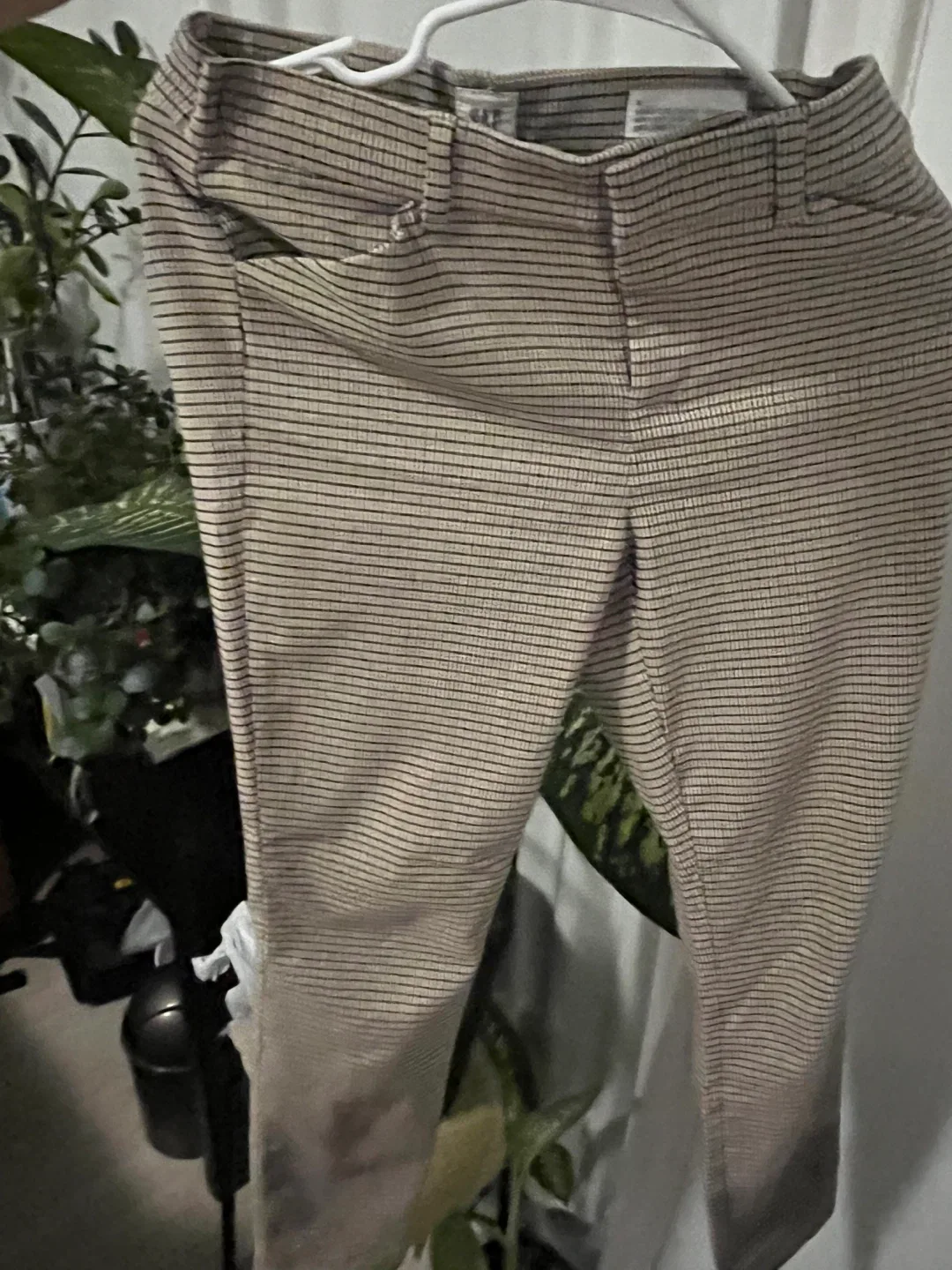 GAP Signature Skinny Ankle Pants - Size 6 image indicator(4)