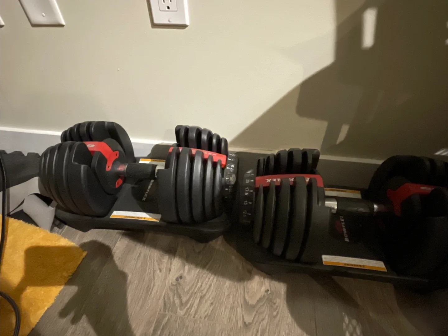 Bowflex Adjustable Dumbbells - Great Condition!