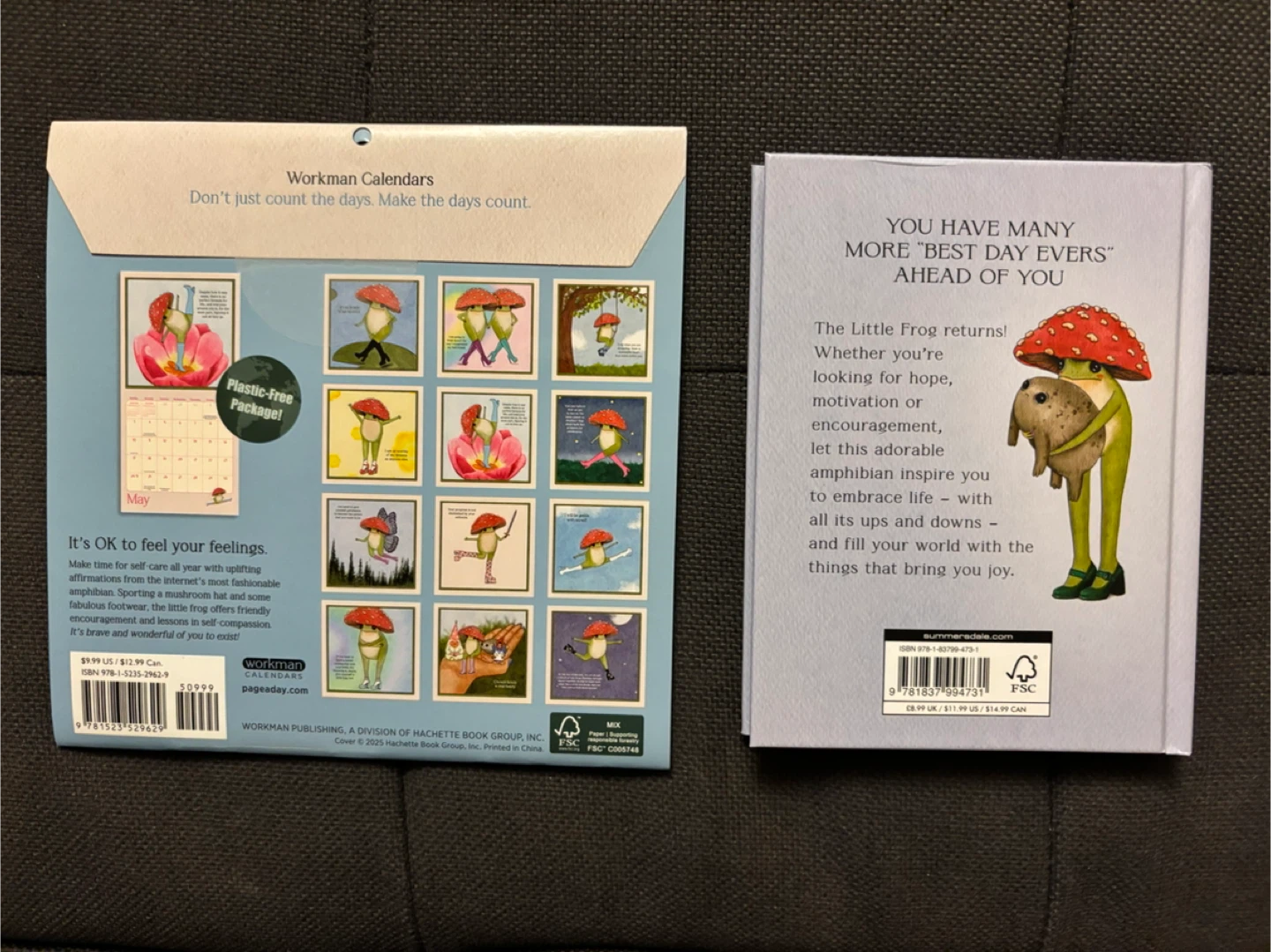 The Little Frog's Guide Calendar & Book Set - photo 2