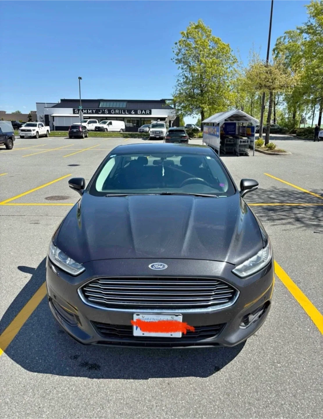 2013 Ford fusion se