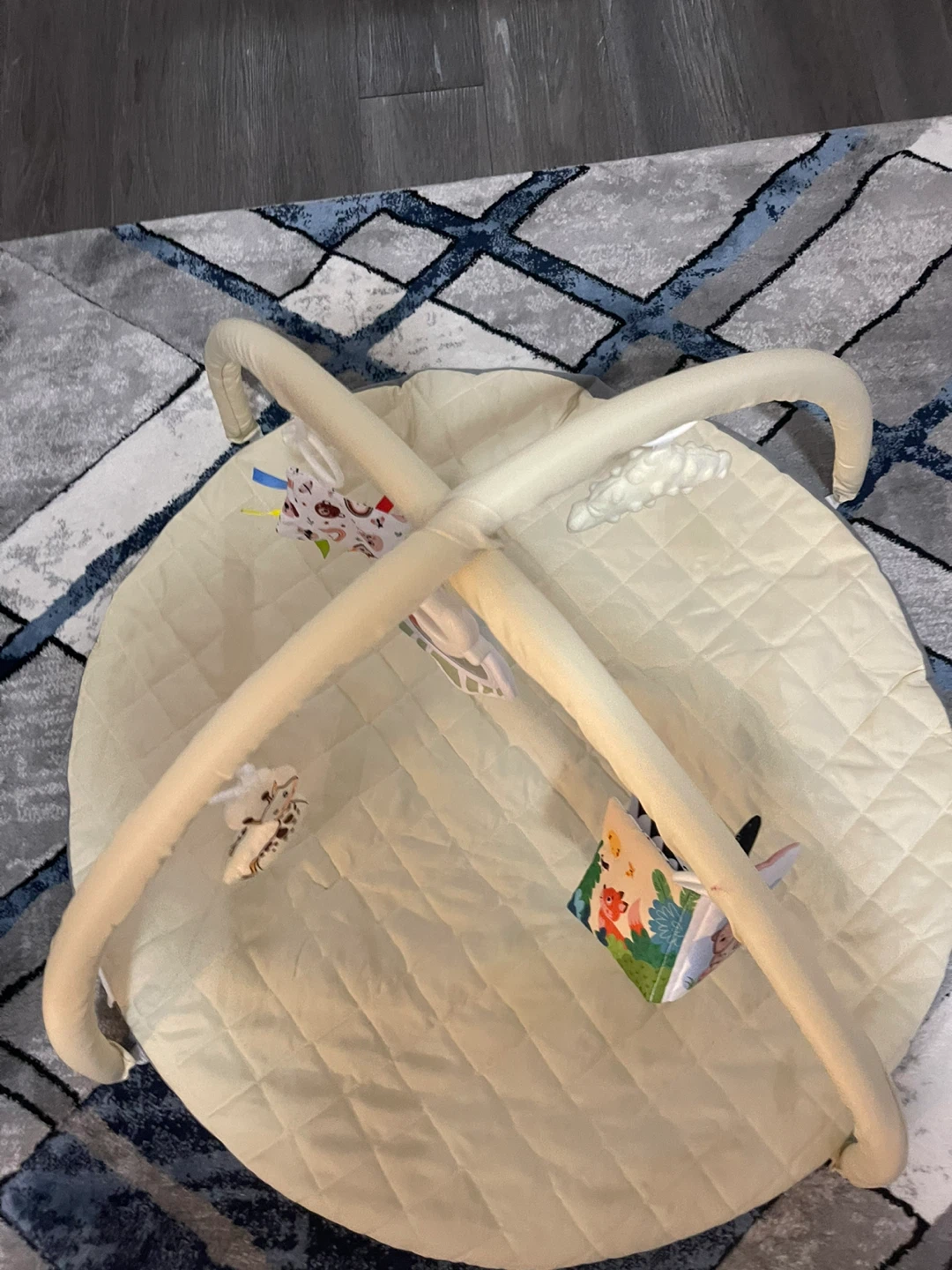 Baby Activity Gym Play Mat - photo 3