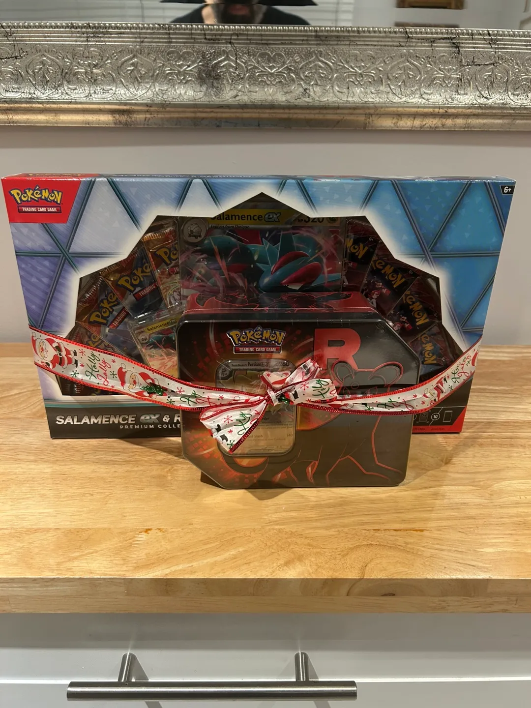 Pokémon Salamence ex & R Premium Collection